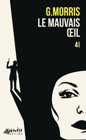 Cover of the book Le mauvais oeil by Joe Abell