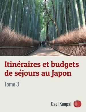 Cover of the book Itinéraires et budgets de séjours au Japon by Traveler's Paradise