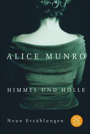 Cover of the book Himmel und Hölle by Alfred Döblin, Dr. Steffan Davies