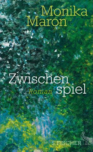 Cover of the book Zwischenspiel by Ulrich Peltzer