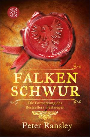 Cover of the book Falkenschwur by Frances O'Roark Dowell