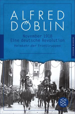Cover of the book November 1918 by Ulla Engelhardt