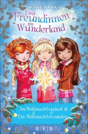 Cover of the book Drei Freundinnen im Wunderland. Im Weihnachtspalast & Ein Weihnachtswunder by Johann David Wyss, Peter Stamm