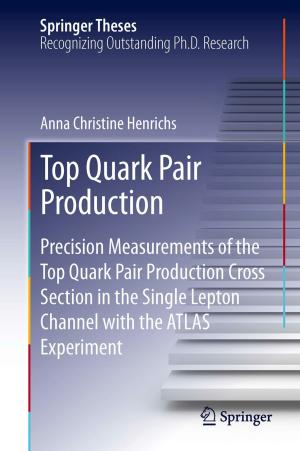 Cover of the book Top Quark Pair Production by Sara M.  Ameen, Giorgia Caruso