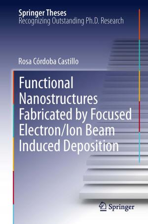 Cover of the book Functional Nanostructures Fabricated by Focused Electron/Ion Beam Induced Deposition by Tommaso Ruggeri, Masaru Sugiyama