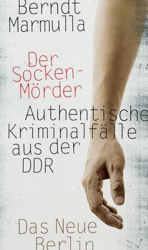 Book cover of Der Sockenmörder