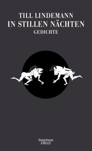 Cover of the book In stillen Nächten by Douwe Draaisma