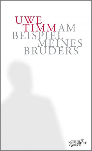 Cover of the book Am Beispiel meines Bruders by Monika Peetz