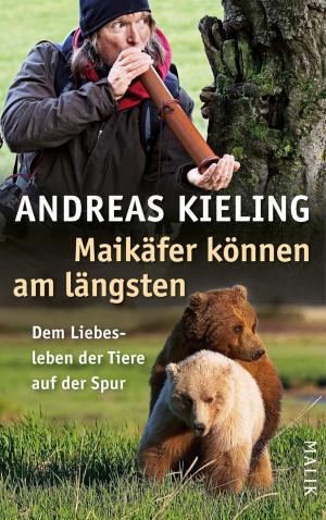 Cover of the book Maikäfer können am längsten by Dieter Kreutzkamp