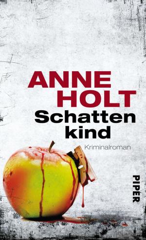 Cover of the book Schattenkind by Hanni Münzer