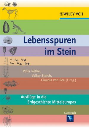 bigCover of the book Lebensspuren im Stein by 