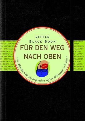 Cover of the book Little Black Book für den Weg nach oben by Laura Fredricks