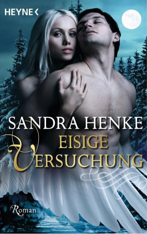 Cover of the book Eisige Versuchung by Gisbert Haefs