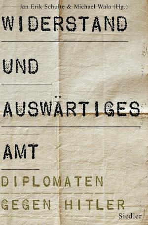 Cover of the book Widerstand und Auswärtiges Amt by Frank-Walter Steinmeier