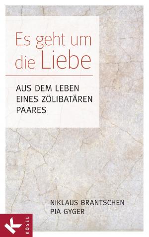 Cover of the book Es geht um die Liebe by Josef Epp