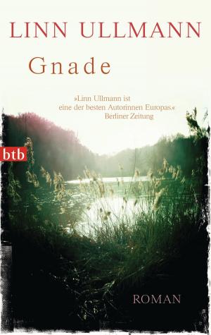 Cover of the book Gnade by Annie Proulx