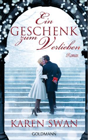 Cover of the book Ein Geschenk zum Verlieben by Warren Ellis