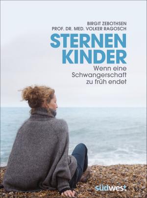 Cover of the book Sternenkinder by Christian Thiel