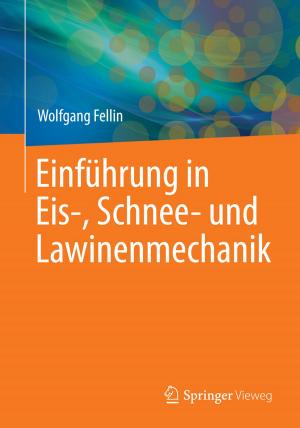 Cover of the book Einführung in Eis-, Schnee- und Lawinenmechanik by Rafael M. Trommer, Carlos P. Bergmann