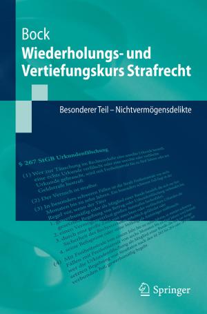 Cover of the book Wiederholungs- und Vertiefungskurs Strafrecht by Timo Mitze