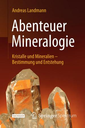 Cover of the book Abenteuer Mineralogie by Jens Rowold
