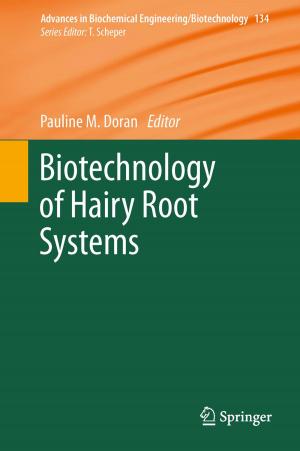 Cover of the book Biotechnology of Hairy Root Systems by Li Gan, Zhichao Yin, Nan Jia, Shu Xu, Shuang Ma, Lu Zheng