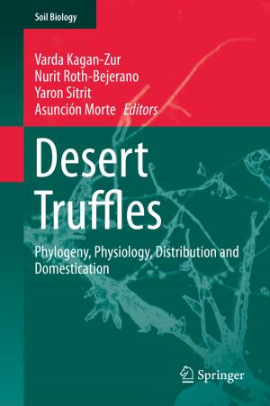Cover of the book Desert Truffles by Yue Dong, Stephen Lin, Baining Guo