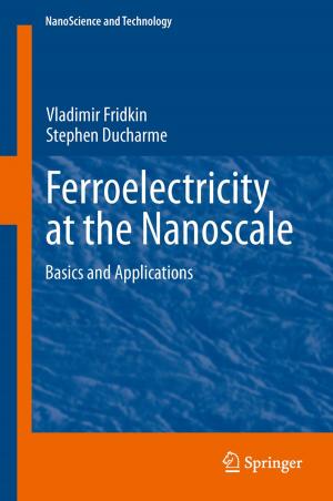 Cover of the book Ferroelectricity at the Nanoscale by Nina Konopinski-Klein, Dagmar Seitz, Johanna Konopinski