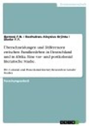 Book cover of Überschneidungen und Differenzen zwischen Familienleben in Deutschland und in Afrika. Eine vor- und postkolonial literarische Studie.