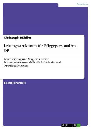 Cover of the book Leitungsstrukturen für Pflegepersonal im OP by Alexander Schmithausen