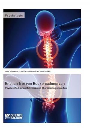 Cover of the book Endlich frei von Rückenschmerzen by Christoph Blepp, Esther Kemmer, Dominic Vaas, Franz Melf