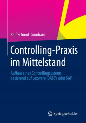 Book cover of Controlling-Praxis im Mittelstand