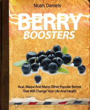 Cover of the book Berry Boosters by Xicano Sol