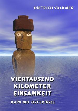 Cover of the book Viertausend Kilometer Einsamkeit by Johannes Beringer