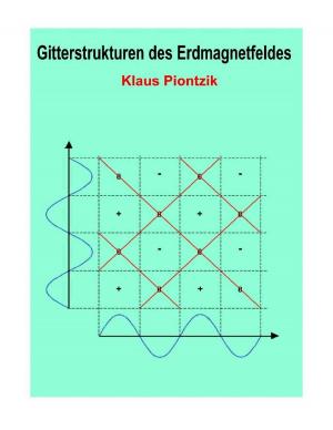 Cover of the book Gitterstrukturen des Erdmagnetfeldes by Anja Buchmann