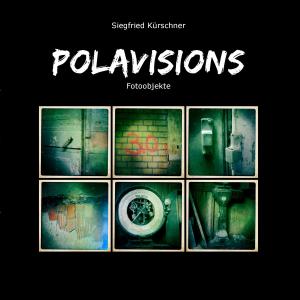 Cover of the book Polavisions by Caroline Régnard-Mayer