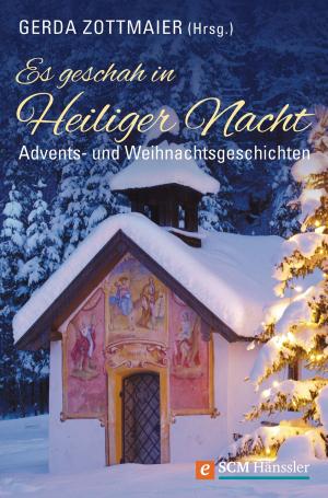 Cover of the book Es geschah in Heiliger Nacht by Christina Rammler