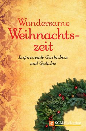 Cover of Wundersame Weihnachtszeit