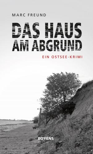 Book cover of Das Haus am Abgrund