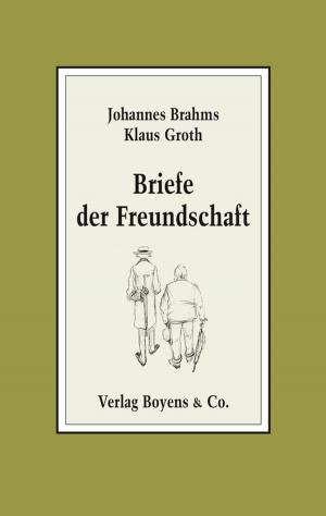 Cover of the book Briefe der Freundschaft by Theodor Storm