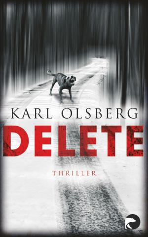 Cover of the book Delete by Keto von Waberer