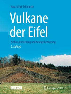 Cover of the book Vulkane der Eifel by Frank B. Sachse