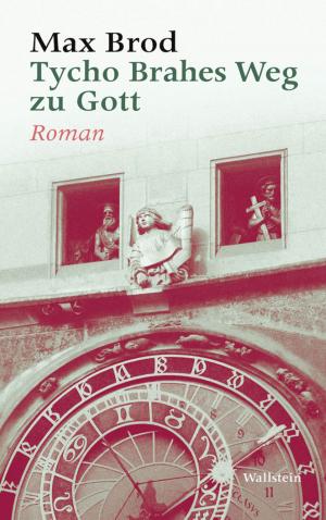 Book cover of Tycho Brahes Weg zu Gott
