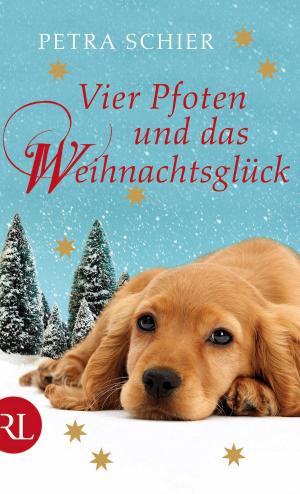 Cover of the book Vier Pfoten und das Weihnachtsglück by Sabrina Qunaj