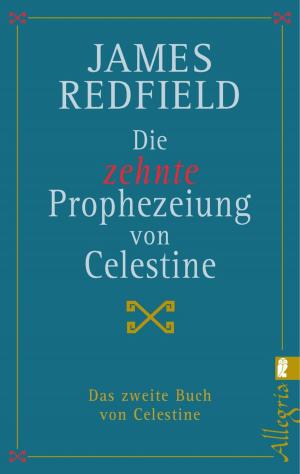 Cover of the book Die zehnte Prophezeiung von Celestine by Liza Marklund