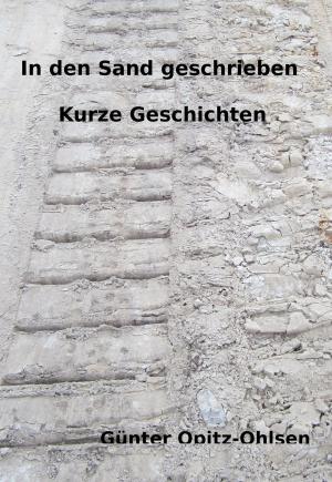 Cover of the book In den Sand geschrieben by Jürgen Prommersberger