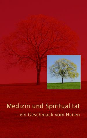 Cover of the book Medizin und Spiritualität by Ulrike Gronert, Dagmara Berztiss