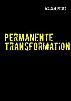 Cover of the book Permanente Transformation by Nicole Diercks