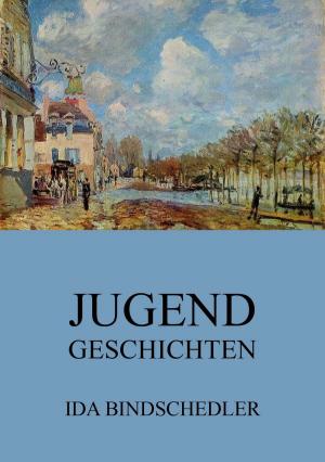 Book cover of Jugendgeschichten