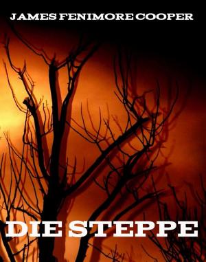 Cover of Die Steppe by James Fenimore Cooper, Jazzybee Verlag